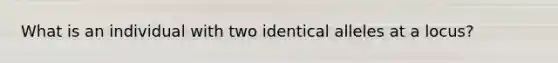 What is an individual with two identical alleles at a locus?