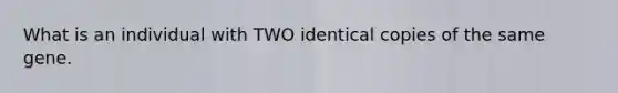 What is an individual with TWO identical copies of the same gene.