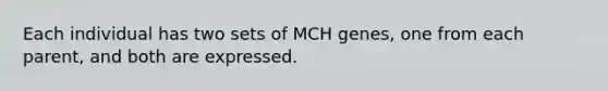 Each individual has two sets of MCH genes, one from each parent, and both are expressed.