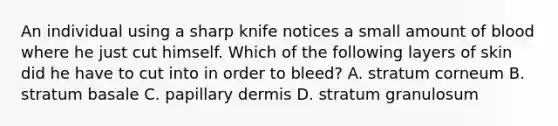 An individual using a sharp knife notices a small amount of blood where he just cut himself. Which of the following layers of skin did he have to cut into in order to bleed? A. stratum corneum B. stratum basale C. papillary dermis D. stratum granulosum