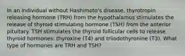 In an individual without Hashimoto's disease, thyrotropin releasing hormone (TRH) from the hypothalamus stimulates the release of thyroid stimulating hormone (TSH) from the anterior pituitary. TSH stimulates the thyroid follicular cells to release thyroid hormones: thyroxine (T4) and triiodothyronine (T3). What type of hormones are TRH and TSH?