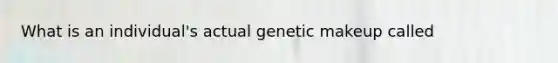 What is an individual's actual genetic makeup called