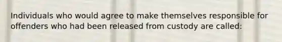 Individuals who would agree to make themselves responsible for offenders who had been released from custody are called: