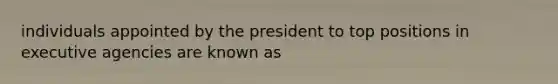 individuals appointed by the president to top positions in executive agencies are known as