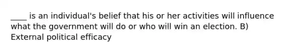 ____ is an individual's belief that his or her activities will influence what the government will do or who will win an election. B) External political efficacy