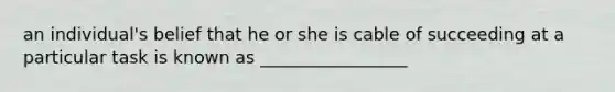 an individual's belief that he or she is cable of succeeding at a particular task is known as _________________
