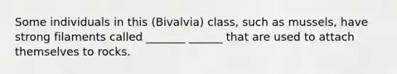 Some individuals in this (Bivalvia) class, such as mussels, have strong filaments called _______ ______ that are used to attach themselves to rocks.