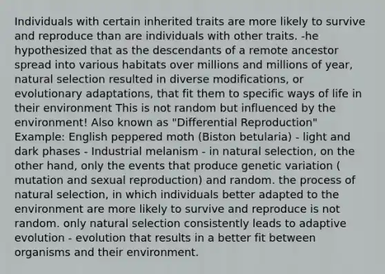 Individuals with certain inherited traits are more likely to survive and reproduce than are individuals with other traits. -he hypothesized that as the descendants of a remote ancestor spread into various habitats over millions and millions of year, natural selection resulted in diverse modifications, or evolutionary adaptations, that fit them to specific ways of life in their environment This is not random but influenced by the environment! Also known as "Differential Reproduction" Example: English peppered moth (Biston betularia) - light and dark phases - Industrial melanism - in natural selection, on the other hand, only the events that produce genetic variation ( mutation and sexual reproduction) and random. the process of natural selection, in which individuals better adapted to the environment are more likely to survive and reproduce is not random. only natural selection consistently leads to adaptive evolution - evolution that results in a better fit between organisms and their environment.