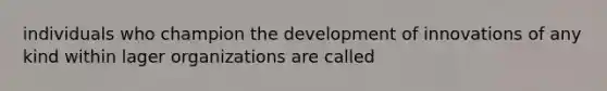 individuals who champion the development of innovations of any kind within lager organizations are called