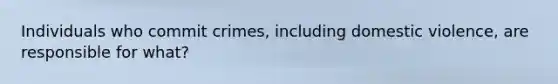 Individuals who commit crimes, including domestic violence, are responsible for what?