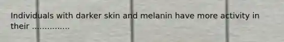 Individuals with darker skin and melanin have more activity in their ...............