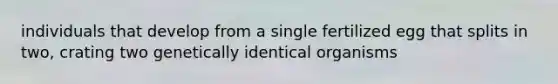 individuals that develop from a single fertilized egg that splits in two, crating two genetically identical organisms