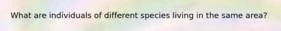 What are individuals of different species living in the same area?
