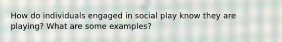 How do individuals engaged in social play know they are playing? What are some examples?