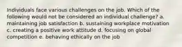 Individuals face various challenges on the job. Which of the following would not be considered an individual challenge? a. maintaining job satisfaction b. sustaining workplace motivation c. creating a positive work attitude d. focusing on global competition e. behaving ethically on the job