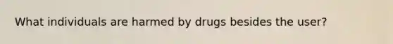 What individuals are harmed by drugs besides the user?