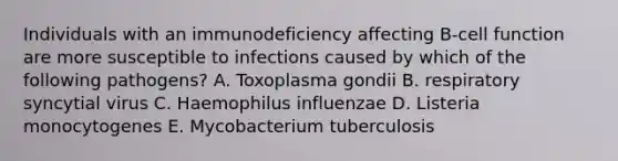 Individuals with an immunodeficiency affecting B-cell function are more susceptible to infections caused by which of the following pathogens? A. Toxoplasma gondii B. respiratory syncytial virus C. Haemophilus influenzae D. Listeria monocytogenes E. Mycobacterium tuberculosis