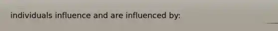 individuals influence and are influenced by: