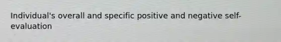 Individual's overall and specific positive and negative self-evaluation