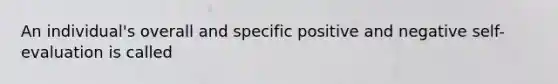 An individual's overall and specific positive and negative self-evaluation is called