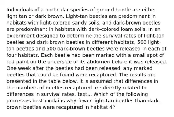 Individuals of a particular species of ground beetle are either light tan or dark brown. Light-tan beetles are predominant in habitats with light-colored sandy soils, and dark-brown beetles are predominant in habitats with dark-colored loam soils. In an experiment designed to determine the survival rates of light-tan beetles and dark-brown beetles in different habitats, 500 light-tan beetles and 500 dark-brown beetles were released in each of four habitats. Each beetle had been marked with a small spot of red paint on the underside of its abdomen before it was released. One week after the beetles had been released, any marked beetles that could be found were recaptured. The results are presented in the table below. It is assumed that differences in the numbers of beetles recaptured are directly related to differences in survival rates. text... Which of the following processes best explains why fewer light-tan beetles than dark-brown beetles were recaptured in habitat 4?