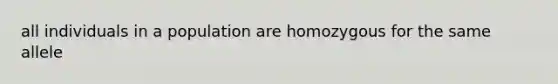 all individuals in a population are homozygous for the same allele