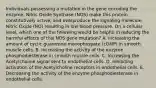 Individuals possessing a mutation in the gene encoding the enzyme, Nitric Oxide Synthase (NOS) make this protein constitutively active, and overproduce the signaling molecule, Nitric Oxide (NO) resulting in low blood pressure. On a cellular level, which one of the following would be helpful in reducing the harmful effects of this NOS gene mutation? A. Increasing the amount of cyclic guanosine monophospate (cGMP) in smooth muscle cells. B. Increasing the activity of the enzyme phosphodiesterase in smooth muscle cells. C. Increasing the Acetylcholine signal sent to endothelial cells. D. Inhibiting activation of the Acetylcholine receptors in endothelial cells. E. Decreasing the activity of the enzyme phosphodiesterase in endothelial cells.