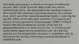 Individuals possessing a mutation in the gene encoding the enzyme, Nitric Oxide Synthase (NOS) make this protein constitutively active, and overproduce the signaling molecule, Nitric Oxide (NO) resulting in low blood pressure. On a cellular level, which one of the following would be helpful in reducing the harmful effects of this NOS gene mutation? A) Increasing the amount of cyclic guanosine monophospate (cGMP) in smooth muscle cells. B) Increasing the activity of the enzyme phosphodiesterase in smooth muscle cells. C) Increasing the Acetylcholine signal sent to endothelial cells. D) Inhibiting activation of the Acetylcholine receptors in endothelial cells. E) Decreasing the activity of the enzyme phosphodiesterase in endothelial cells.