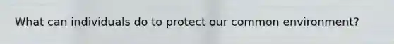 What can individuals do to protect our common environment?
