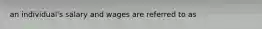 an individual's salary and wages are referred to as