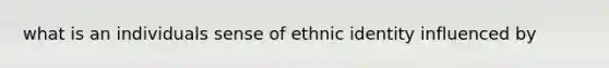 what is an individuals sense of ethnic identity influenced by