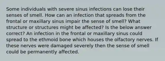 Some individuals with severe sinus infections can lose their senses of smell. How can an infection that spreads from the frontal or maxillary sinus impair the sense of smell? What structure or structures might be affected? Is the below answer correct? An infection in the frontal or maxillary sinus could spread to the ethmoid bone which houses the olfactory nerves. If these nerves were damaged severely then the sense of smell could be permanently affected.