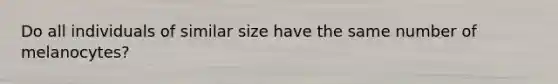 Do all individuals of similar size have the same number of melanocytes?