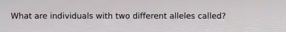 What are individuals with two different alleles called?