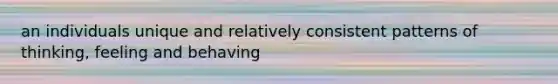 an individuals unique and relatively consistent patterns of thinking, feeling and behaving