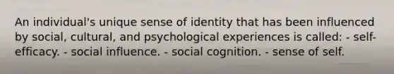 An individual's unique sense of identity that has been influenced by social, cultural, and psychological experiences is called: - self-efficacy. - social influence. - social cognition. - sense of self.