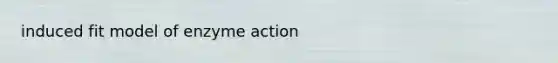 induced fit model of enzyme action