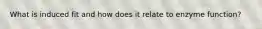 What is induced fit and how does it relate to enzyme function?