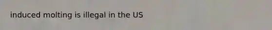 induced molting is illegal in the US