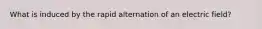 What is induced by the rapid alternation of an electric field?