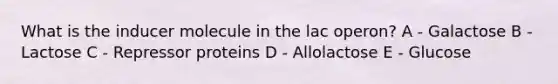 What is the inducer molecule in the lac operon? A - Galactose B - Lactose C - Repressor proteins D - Allolactose E - Glucose