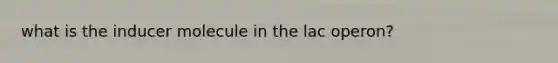 what is the inducer molecule in the lac operon?