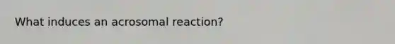 What induces an acrosomal reaction?