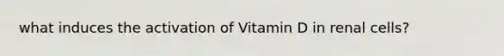 what induces the activation of Vitamin D in renal cells?