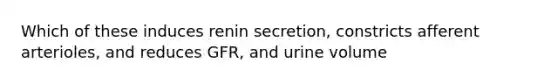 Which of these induces renin secretion, constricts afferent arterioles, and reduces GFR, and urine volume