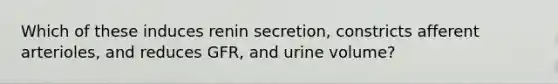 Which of these induces renin secretion, constricts afferent arterioles, and reduces GFR, and urine volume?