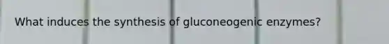 What induces the synthesis of gluconeogenic enzymes?