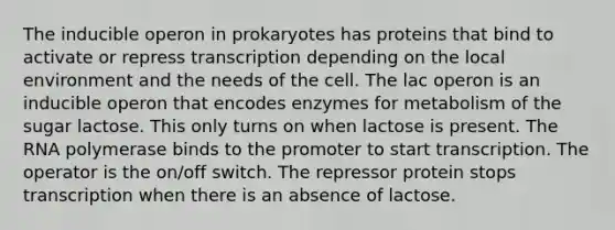 The inducible operon in prokaryotes has proteins that bind to activate or repress transcription depending on the local environment and the needs of the cell. The lac operon is an inducible operon that encodes enzymes for metabolism of the sugar lactose. This only turns on when lactose is present. The RNA polymerase binds to the promoter to start transcription. The operator is the on/off switch. The repressor protein stops transcription when there is an absence of lactose.