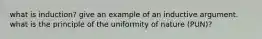 what is induction? give an example of an inductive argument. what is the principle of the uniformity of nature (PUN)?