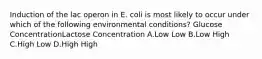 Induction of the lac operon in E. coli is most likely to occur under which of the following environmental conditions? Glucose ConcentrationLactose Concentration A.Low Low B.Low High C.High Low D.High High